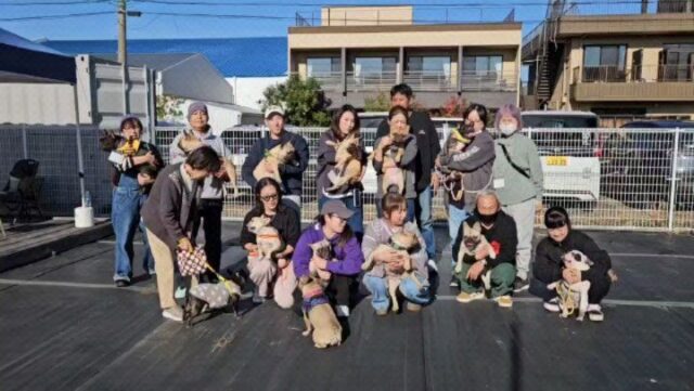 ZENファミリーお里会NO2  また次回もお待ちしております🙇  #ZEN
#フレンチブルドッグ専門ブリーダー
#そらうみハウス