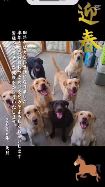 #2026年
#令和8年
#そらうみハウス
#ことしも宜しくお願い致します🙇